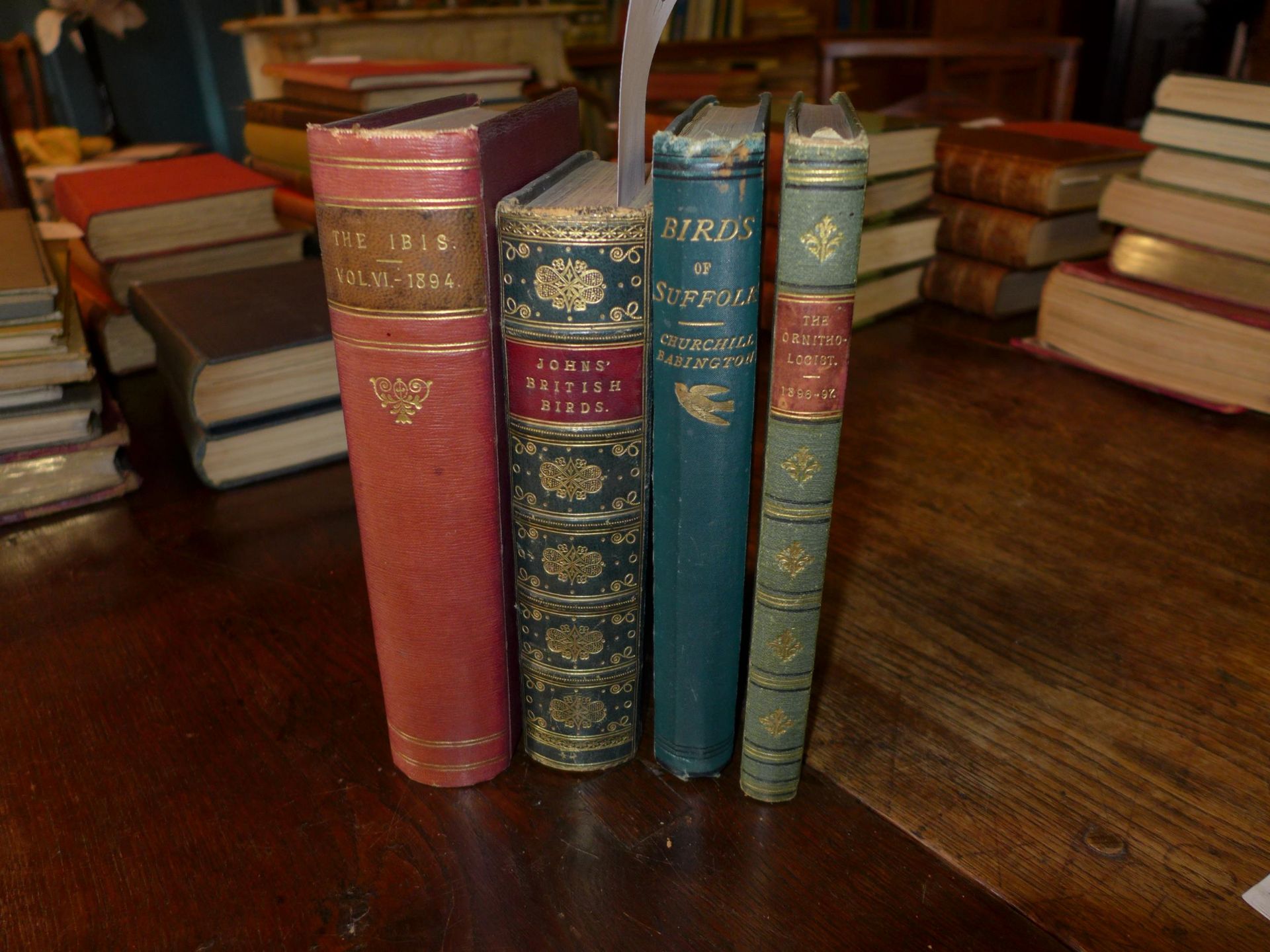 FOUR BOOKS ON BIRDS TO INCLUDE REV JOHNS 'BRITISH BIRDS IN THEIR HAUNTS', LONDON 1871, 'THE IBIR'