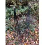 A PAIR OF ORNAMENTAL PLANT CLIMBING FRAMES (H:134CM)