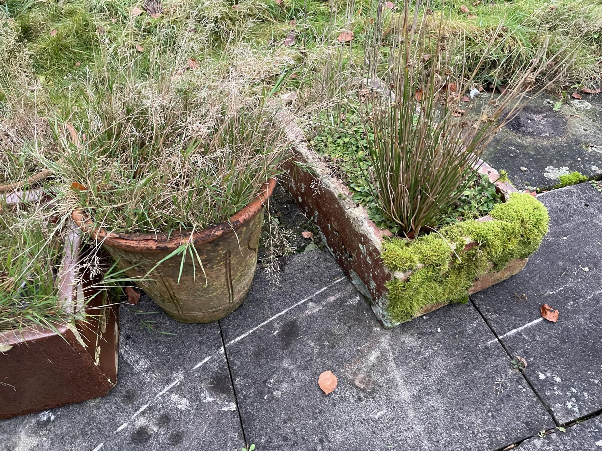 AN ASSORTMENT OF GARDEN PLANTERS TO INCLUDE THREE SALT GLAZED TROUGHS AND FIVE TERRACOTTA EXAMPLES - Image 4 of 4