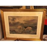 A MOUNTED AND GILT FRAMED PAINTING OF HIGHLAND CATTLE SIGNED D SERRIN A/F