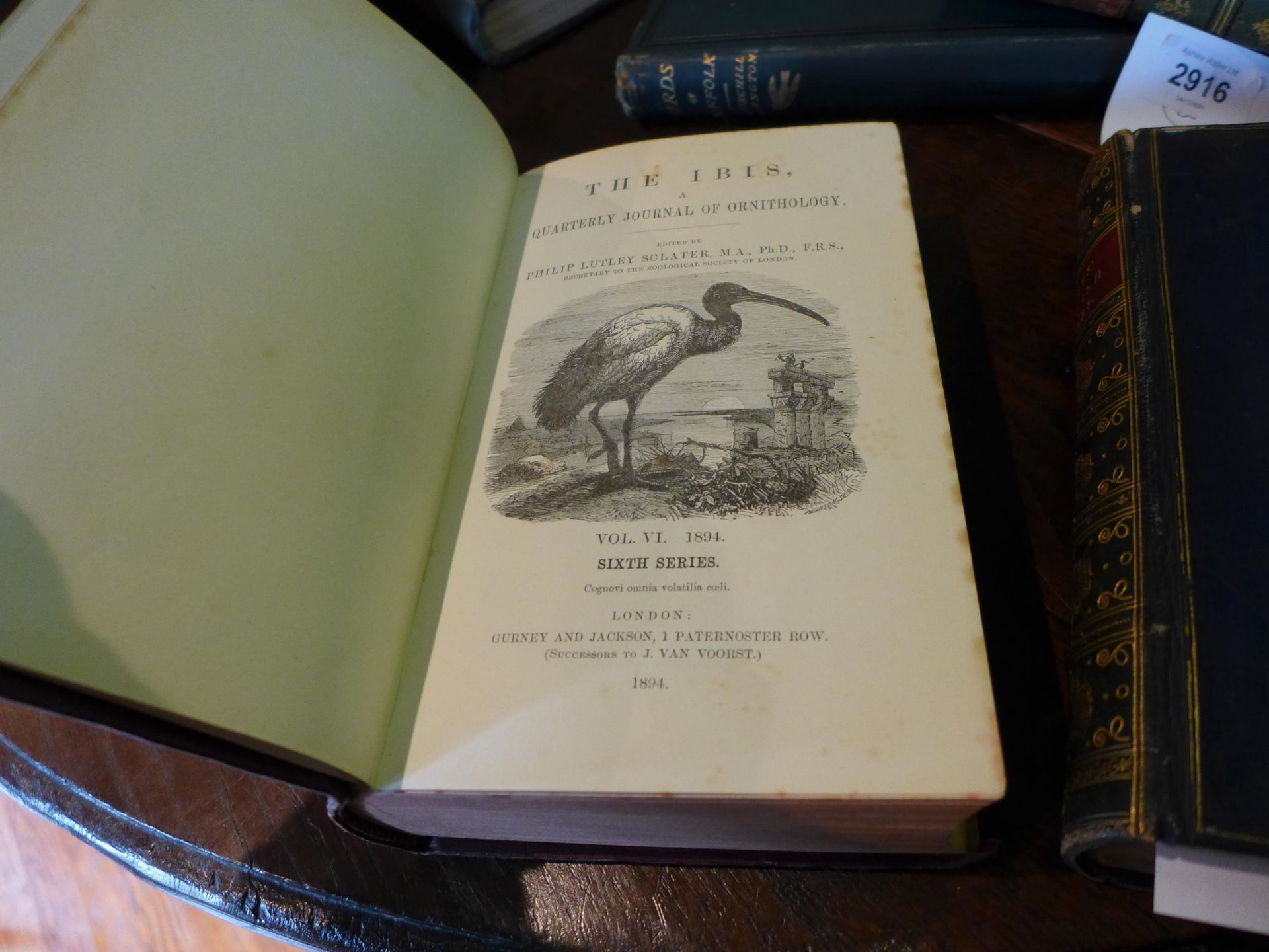 FOUR BOOKS ON BIRDS TO INCLUDE REV JOHNS 'BRITISH BIRDS IN THEIR HAUNTS', LONDON 1871, 'THE IBIR' - Image 3 of 5