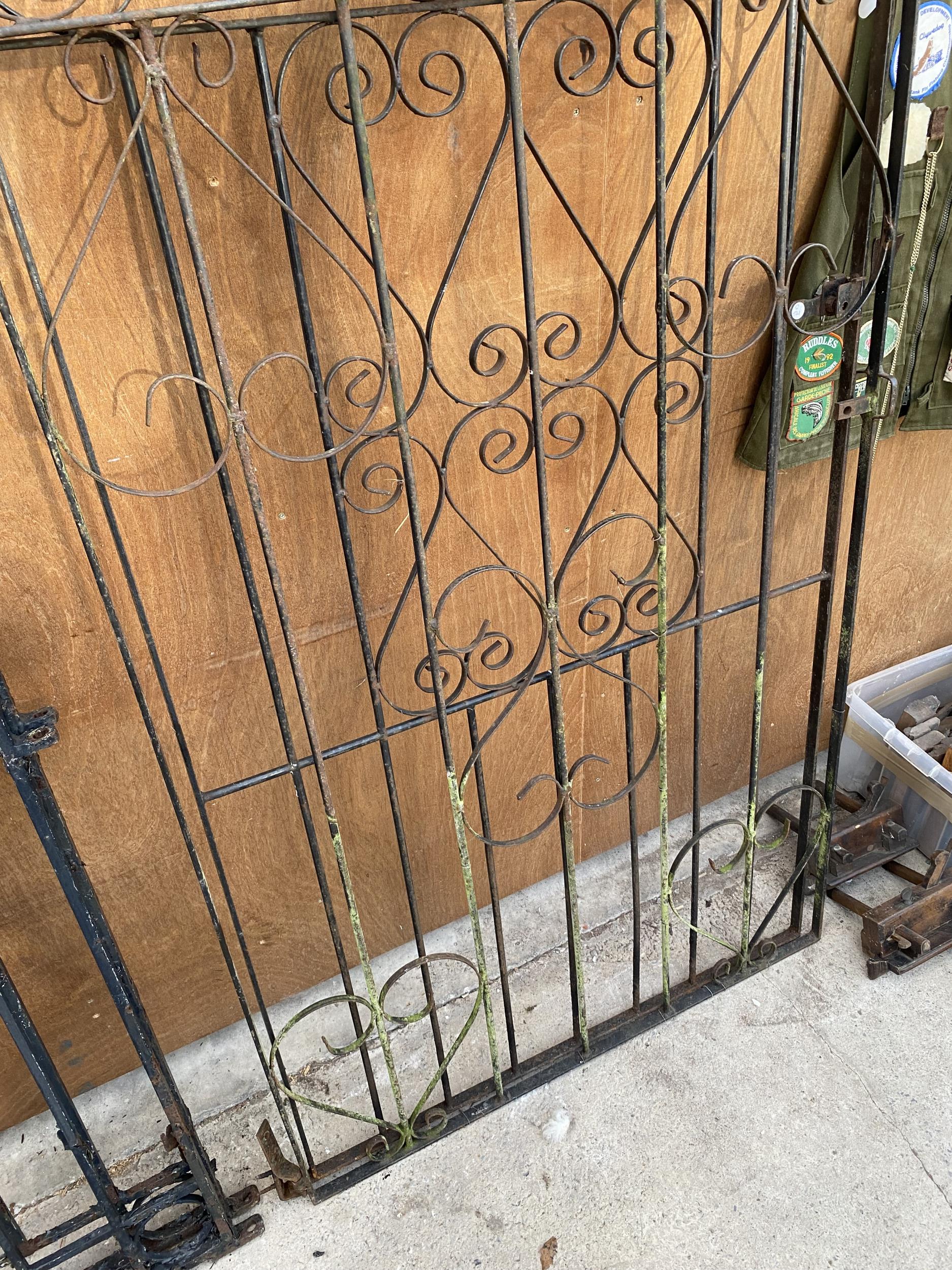 A PAIR OF TALL WROUGHT IRON GARDEN GATES WITH CURVED TOPS (H:190CM W:93CM) - Image 3 of 3