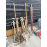A LARGE ASSORTMENT OF GARDEN TOOLS TO INCLUDE SPADES, AXES AND SHEARS ETC