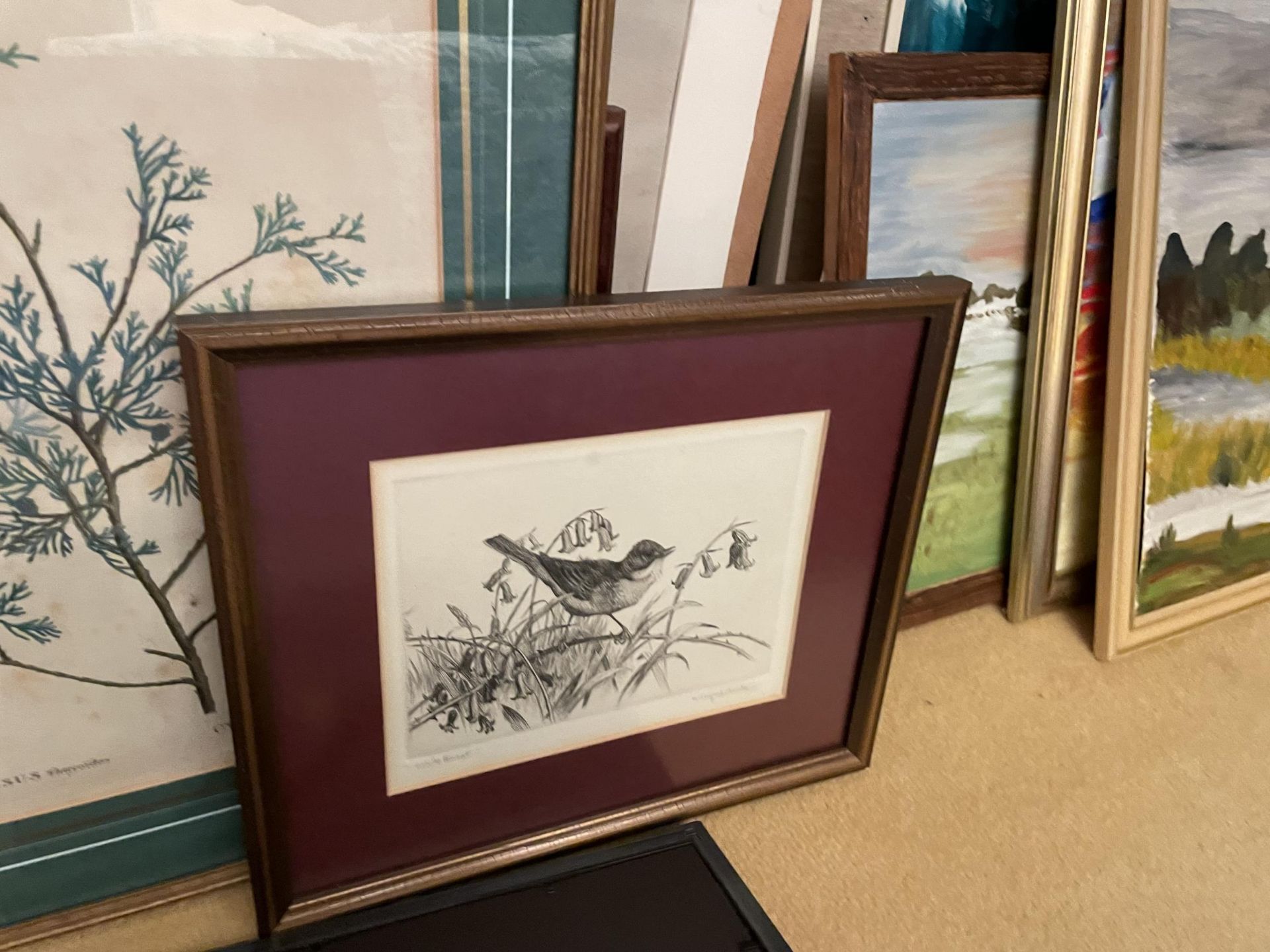 THIRTEEN VARIOUS FRAMED CHARCOAL SKETCH AND PRINTS - Image 5 of 13
