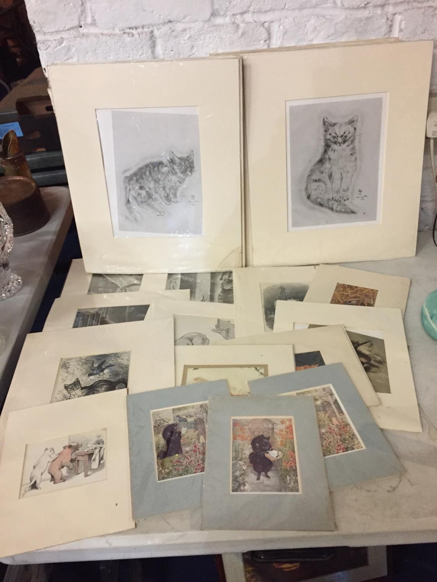 A LARGE COLLECTION OF MOUNTED PRINTS OF CATS, MAINLY BLACK AND WHITE EXAMPLES
