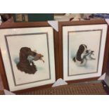 TWO FRAMED PRINTS OF GUN DOGS BY RIAL