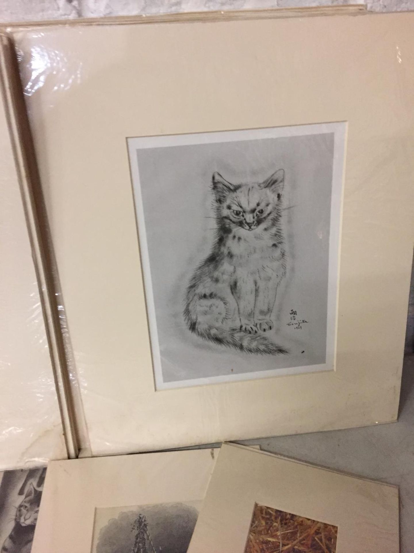 A LARGE COLLECTION OF MOUNTED PRINTS OF CATS, MAINLY BLACK AND WHITE EXAMPLES - Image 4 of 4