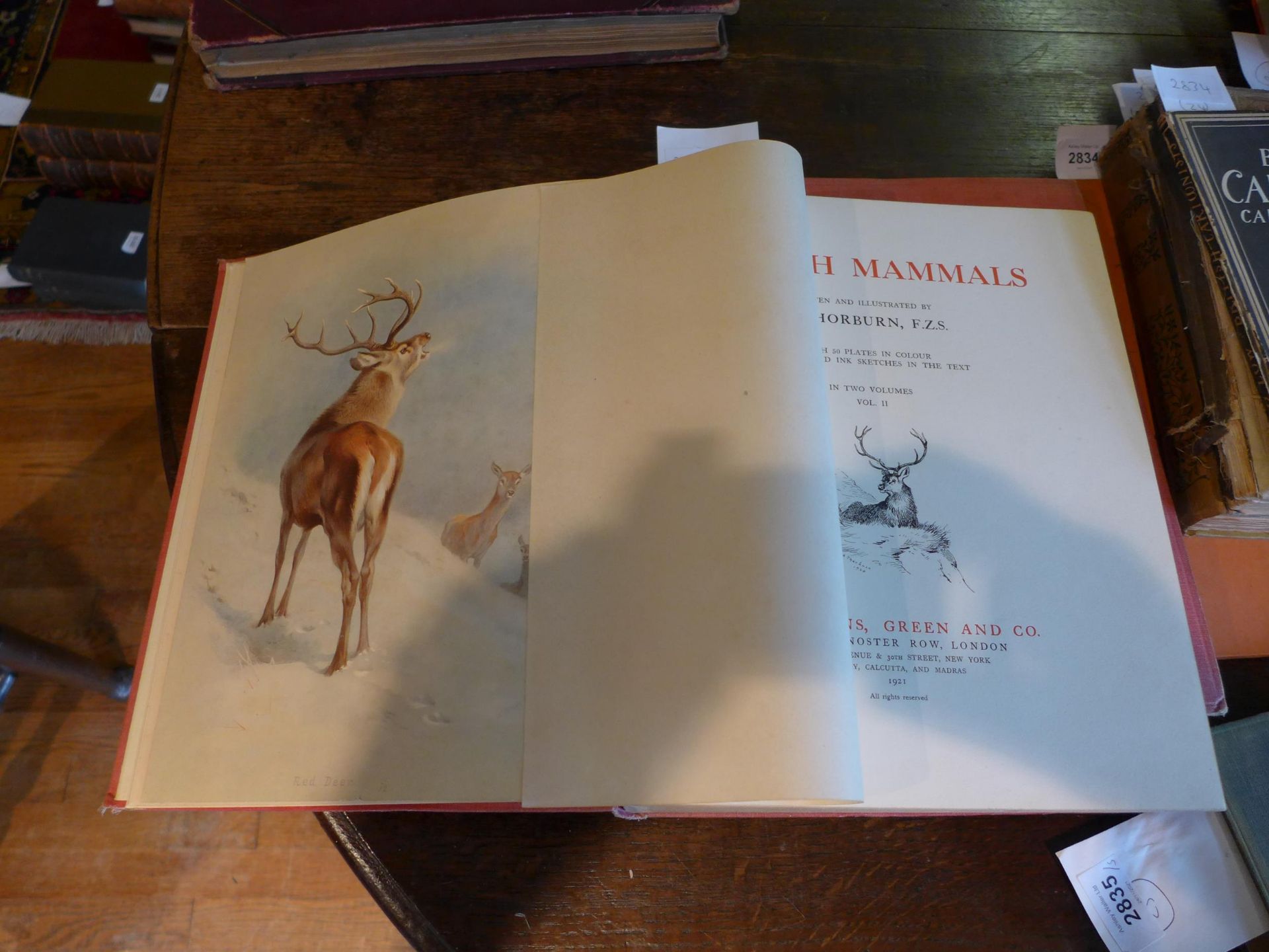 ARCHIBALD THORBURN ' BRITISH MAMMALS', TWO VOLUMES, LONDON 1920, 'ARTISTIC ANTOMY OF MAMMALS' LONDON - Image 4 of 4