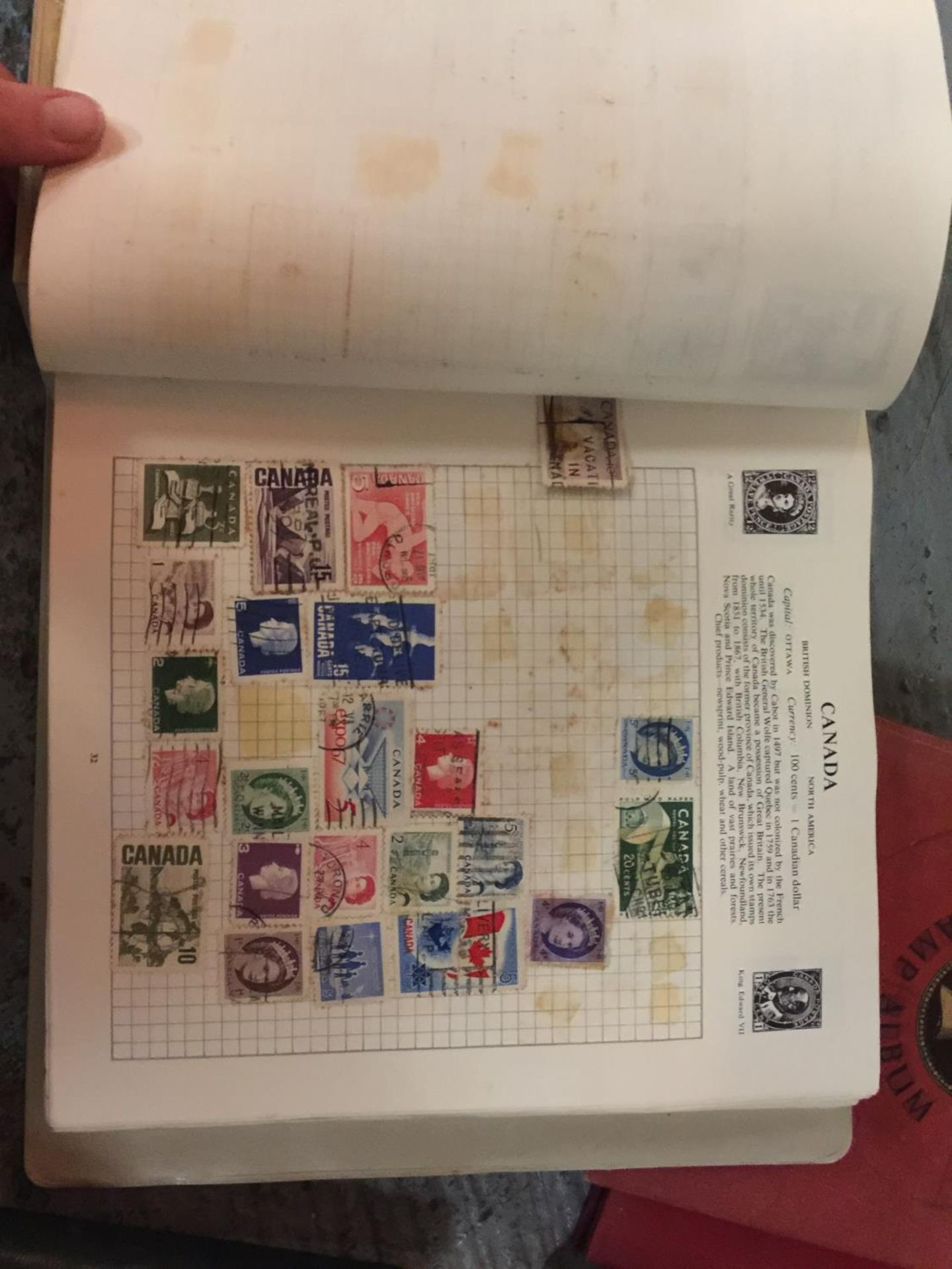 A QUANTITY OF STAMP ALBUMS WITH STAMPS FROM AROUND THE WORLD TO INCLUDE CEYLON, SYRIA, GREECE, NEW - Image 4 of 4