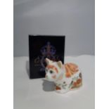 A CROWN DERBY "GUILD KITTEN 2011 (POUNCING)" FIGURE IN BOX