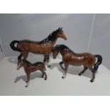 THREE BESWICK BAY HORSES