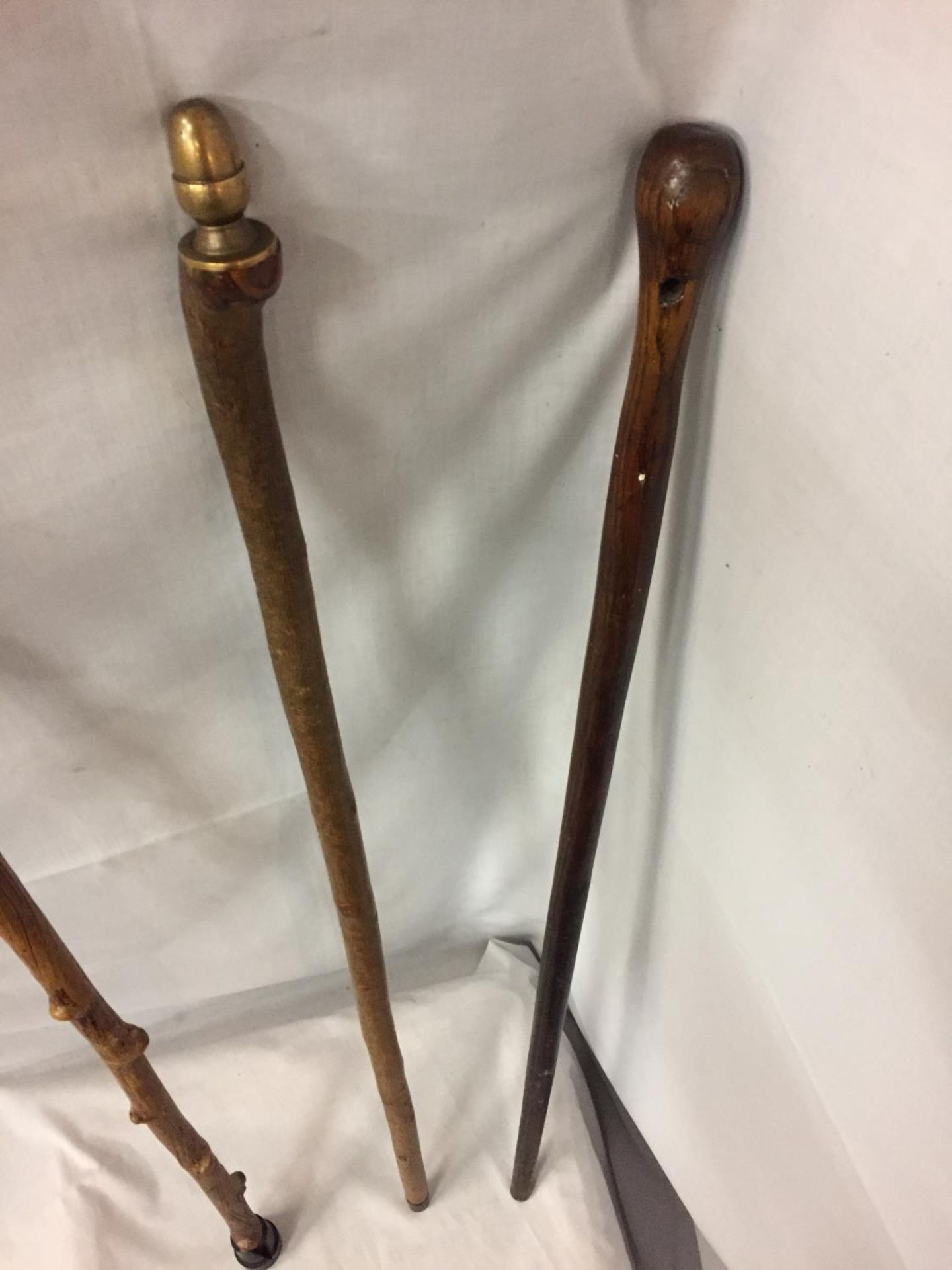 THREE WOODEN WALKING STICKS, ONE WITH DECORATIVE BRASS ACORN TOP - Image 4 of 4