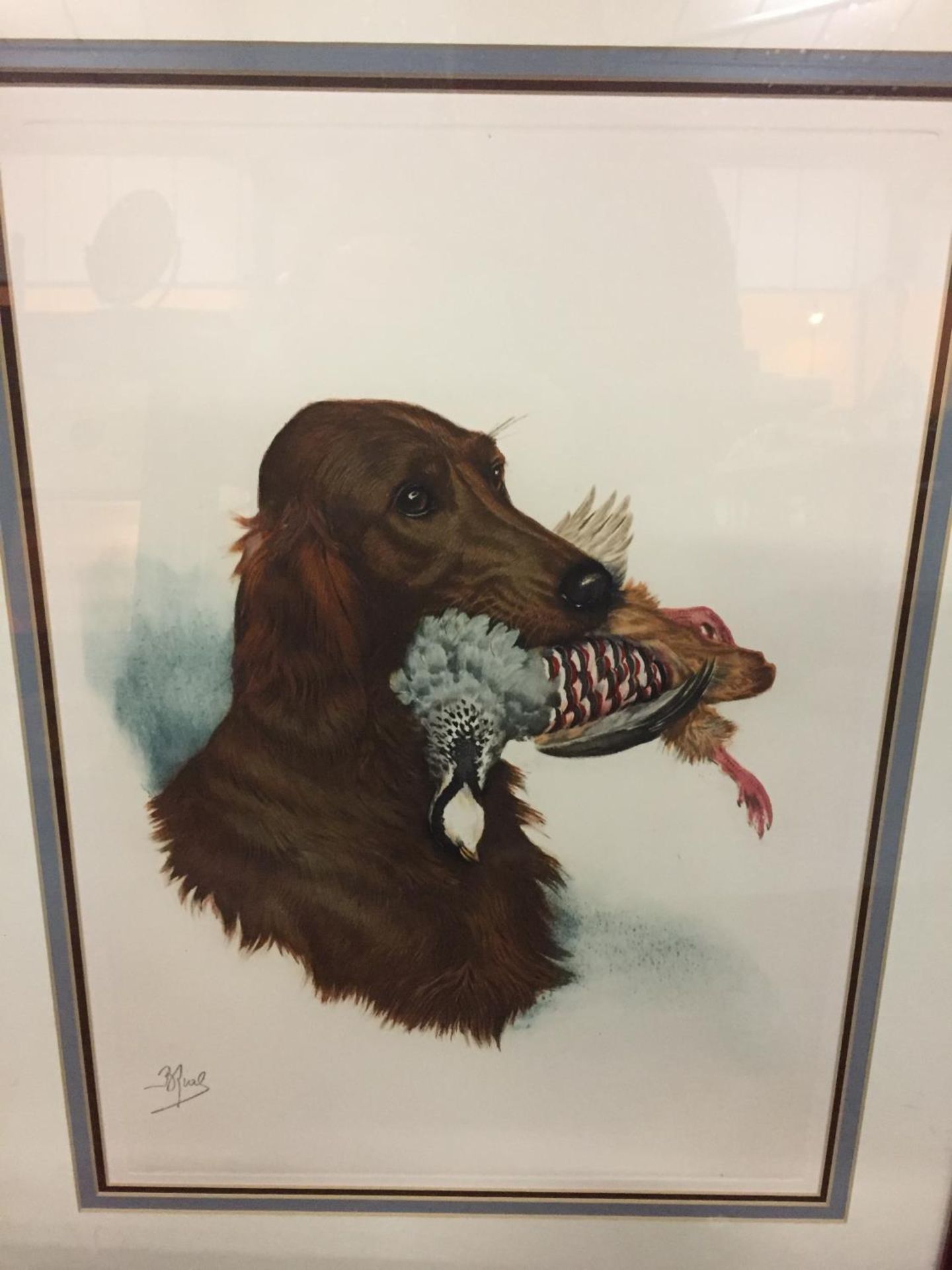 TWO FRAMED PRINTS OF GUN DOGS BY RIAL - Image 2 of 4