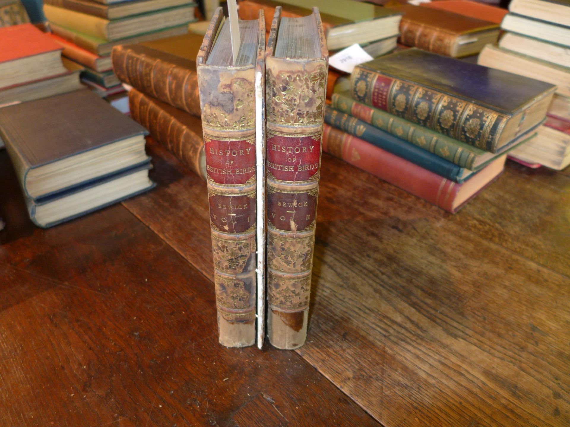 THOMAS BEWICK 'A HISTORY OF BRITISH BIRDS' I TWO VOLUMES, NEWCASTLE 1826