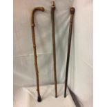 THREE WOODEN WALKING STICKS, ONE WITH DECORATIVE BRASS ACORN TOP