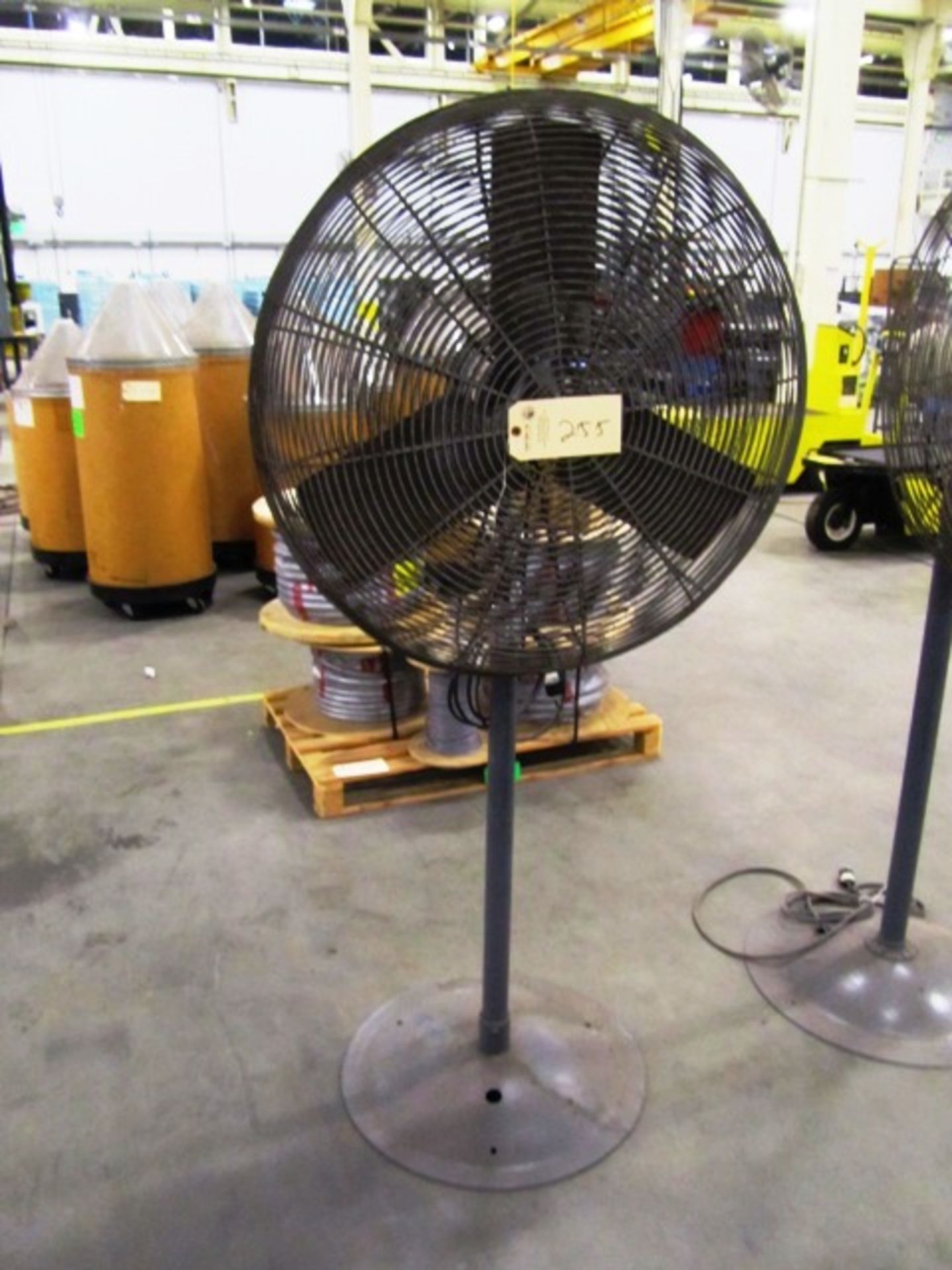 Pedestal Fan