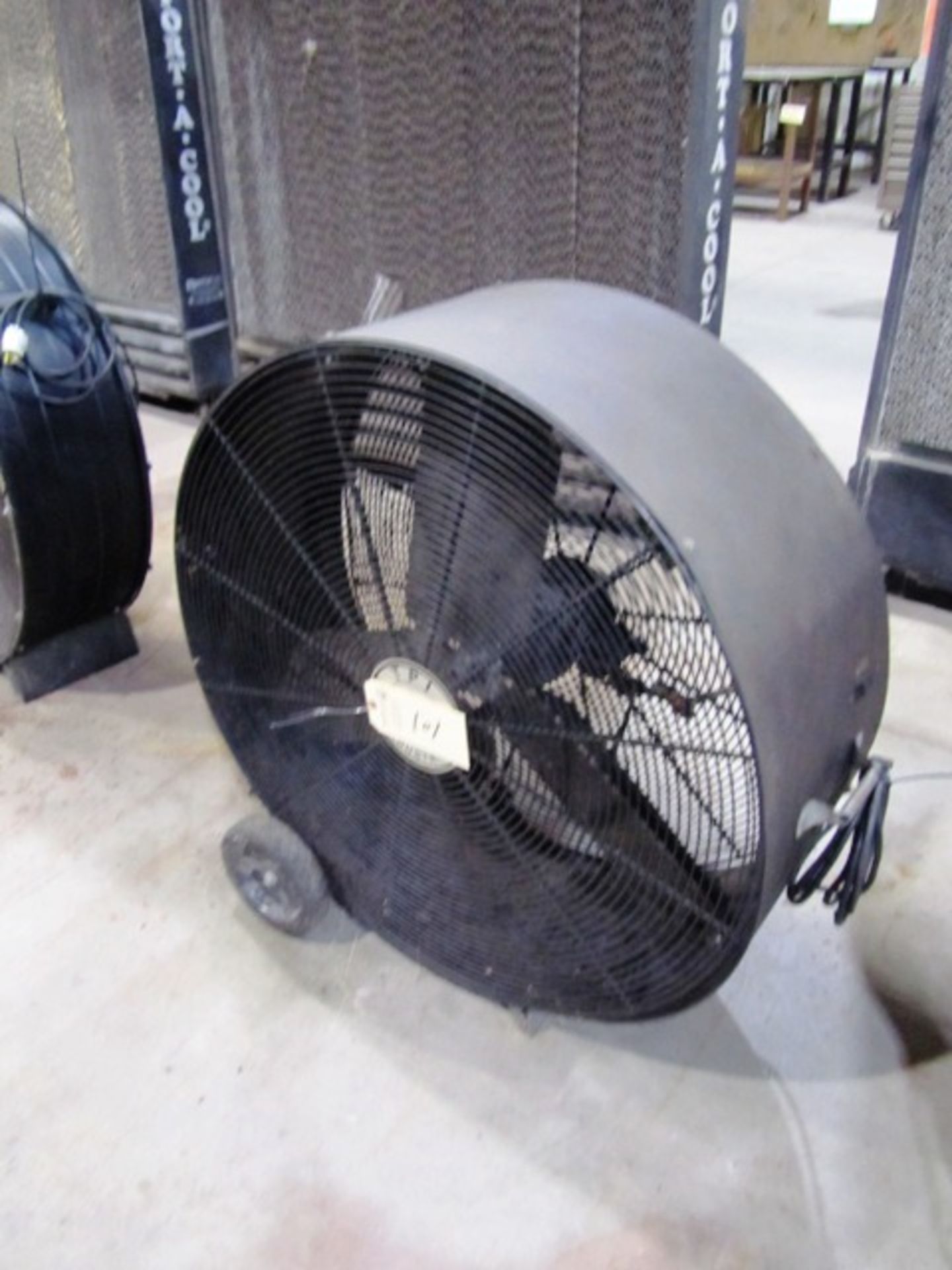 TPI 36'' Portable Floor Fan