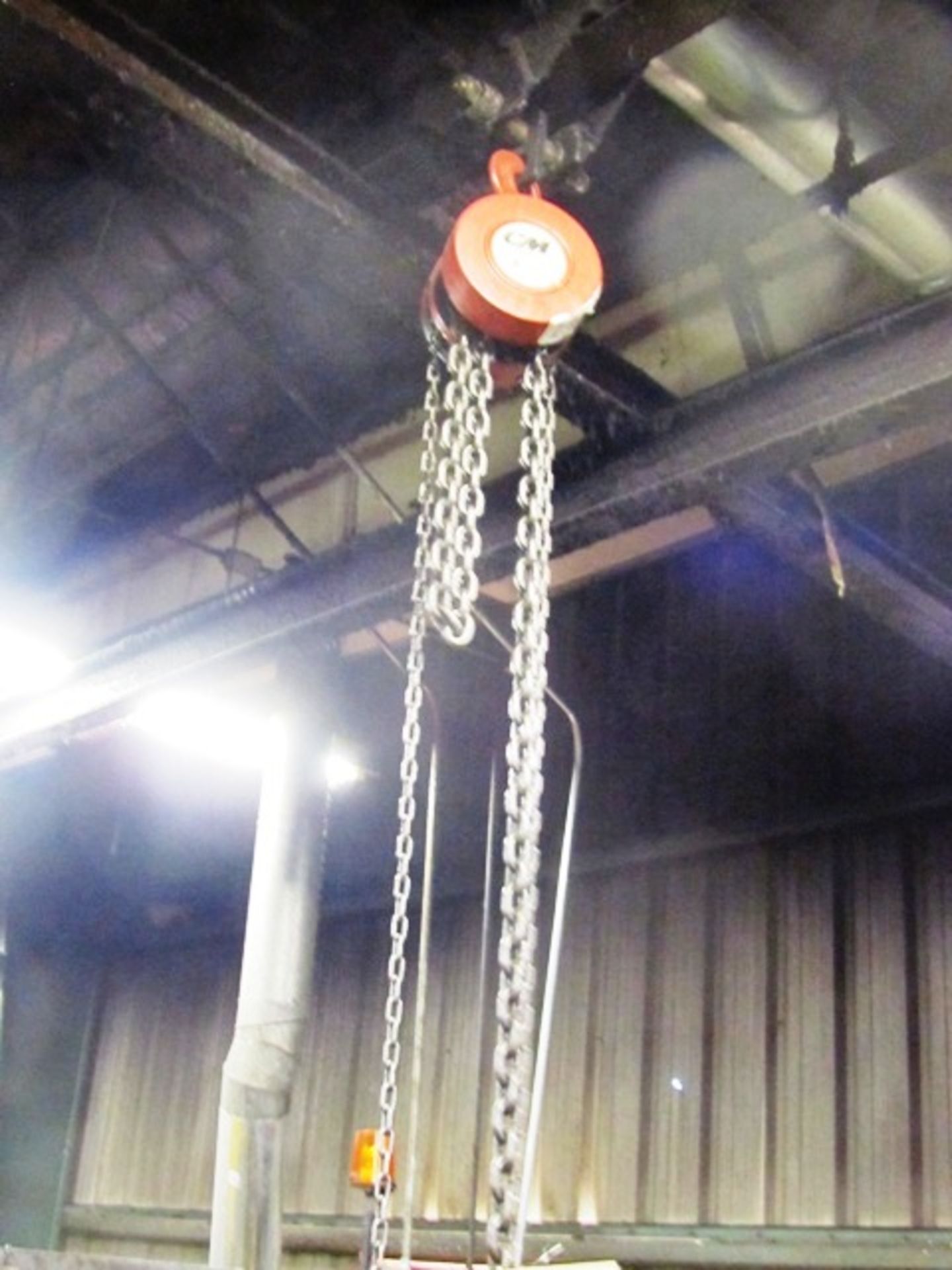 CM 2 Ton Chain Fall