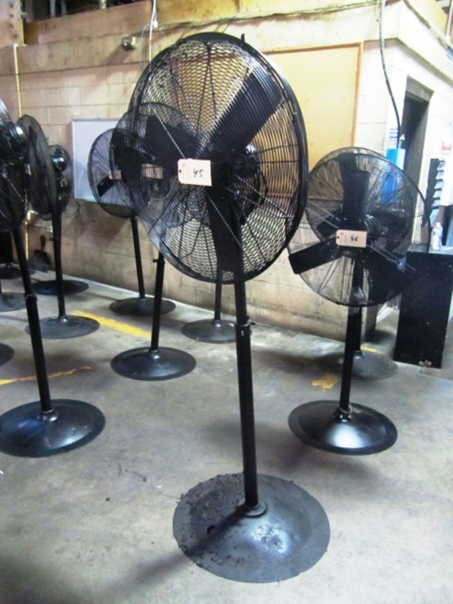 Pedestal Fan