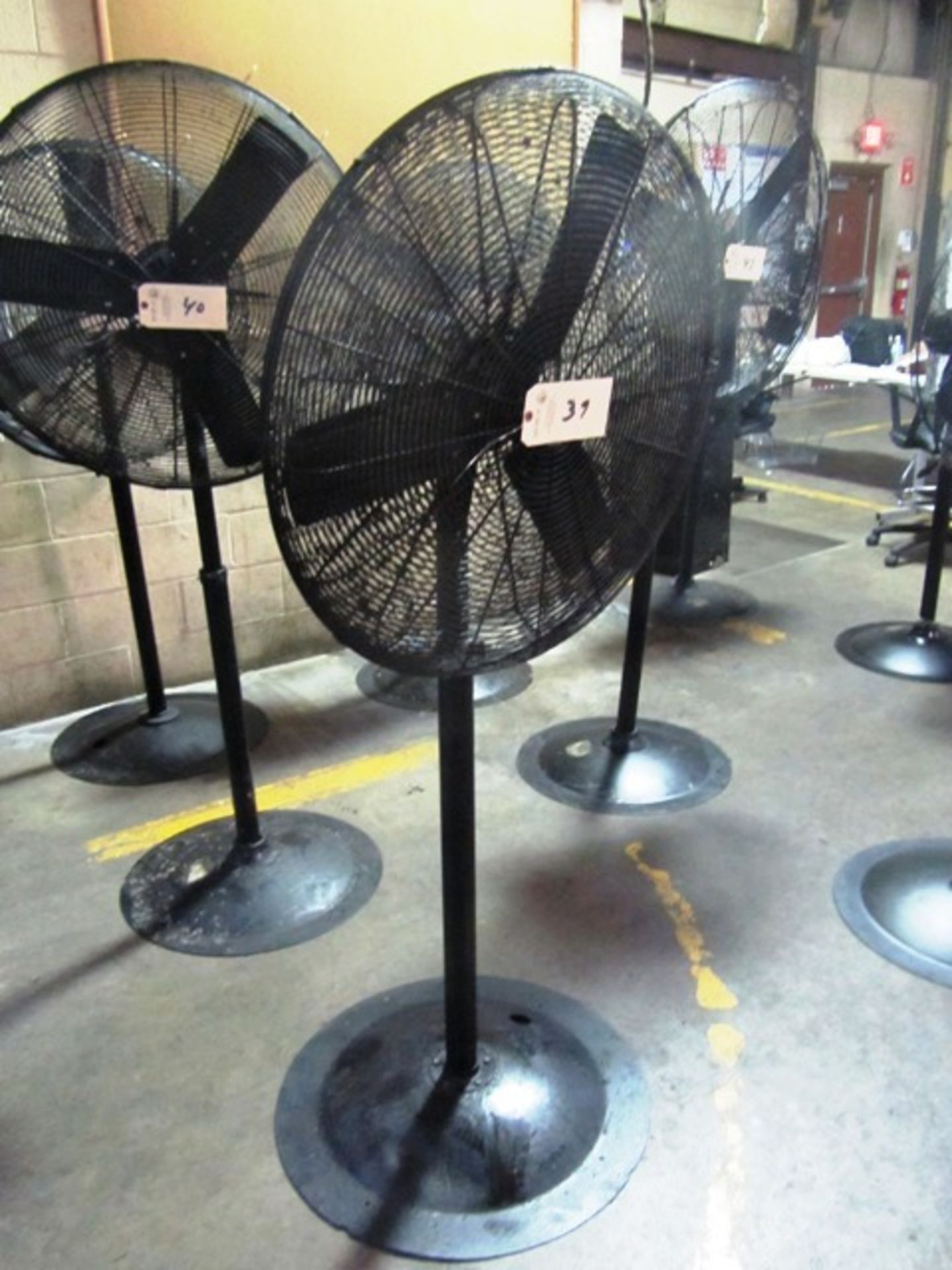 Pedestal Fan