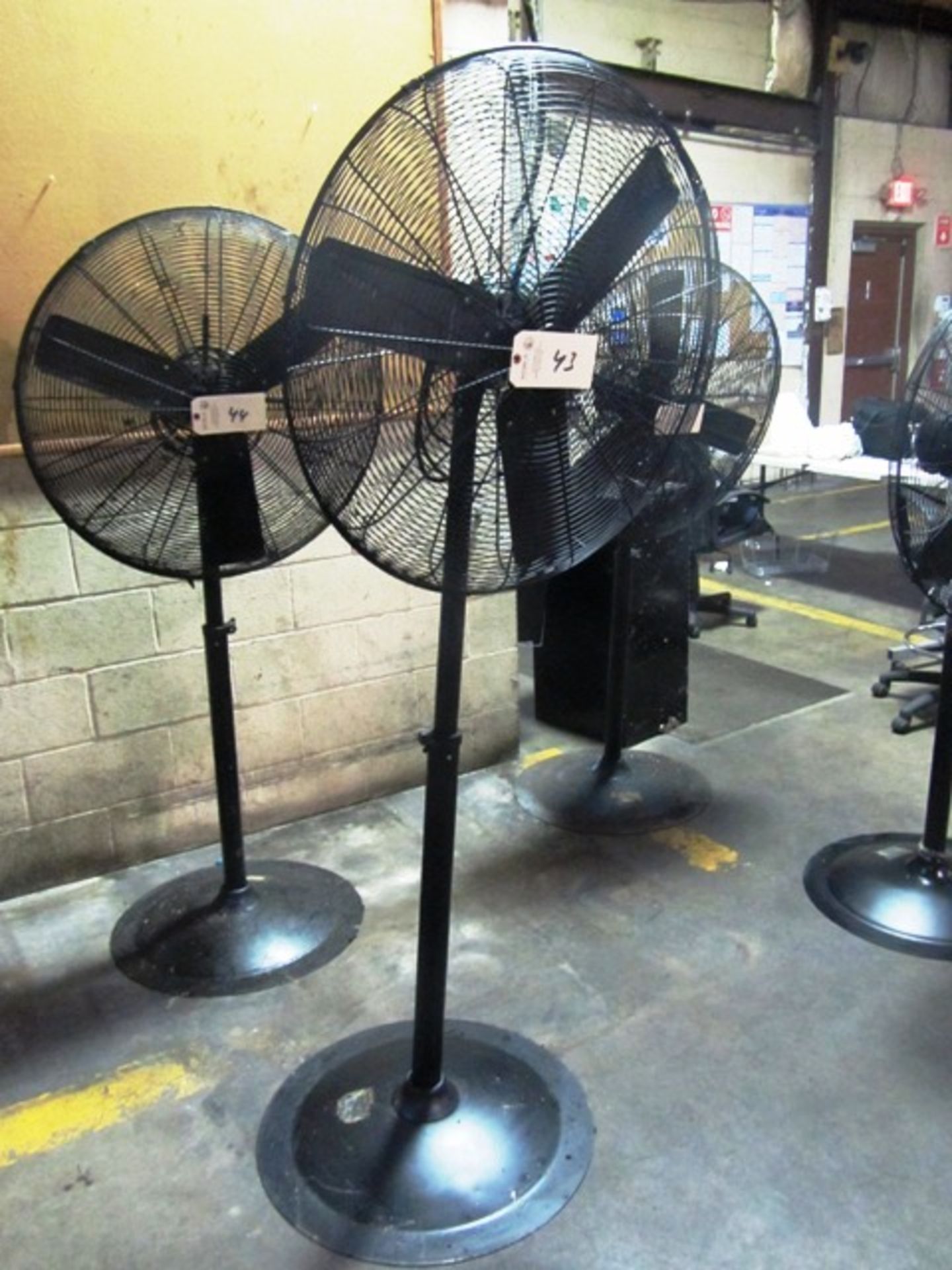 Pedestal Fan