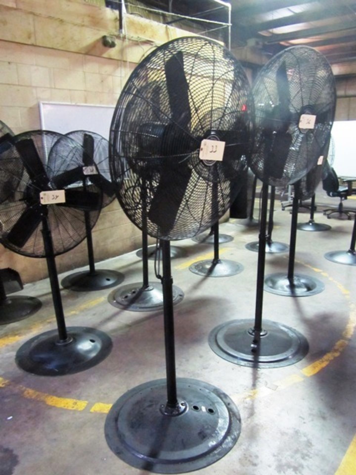 Pedestal Fan