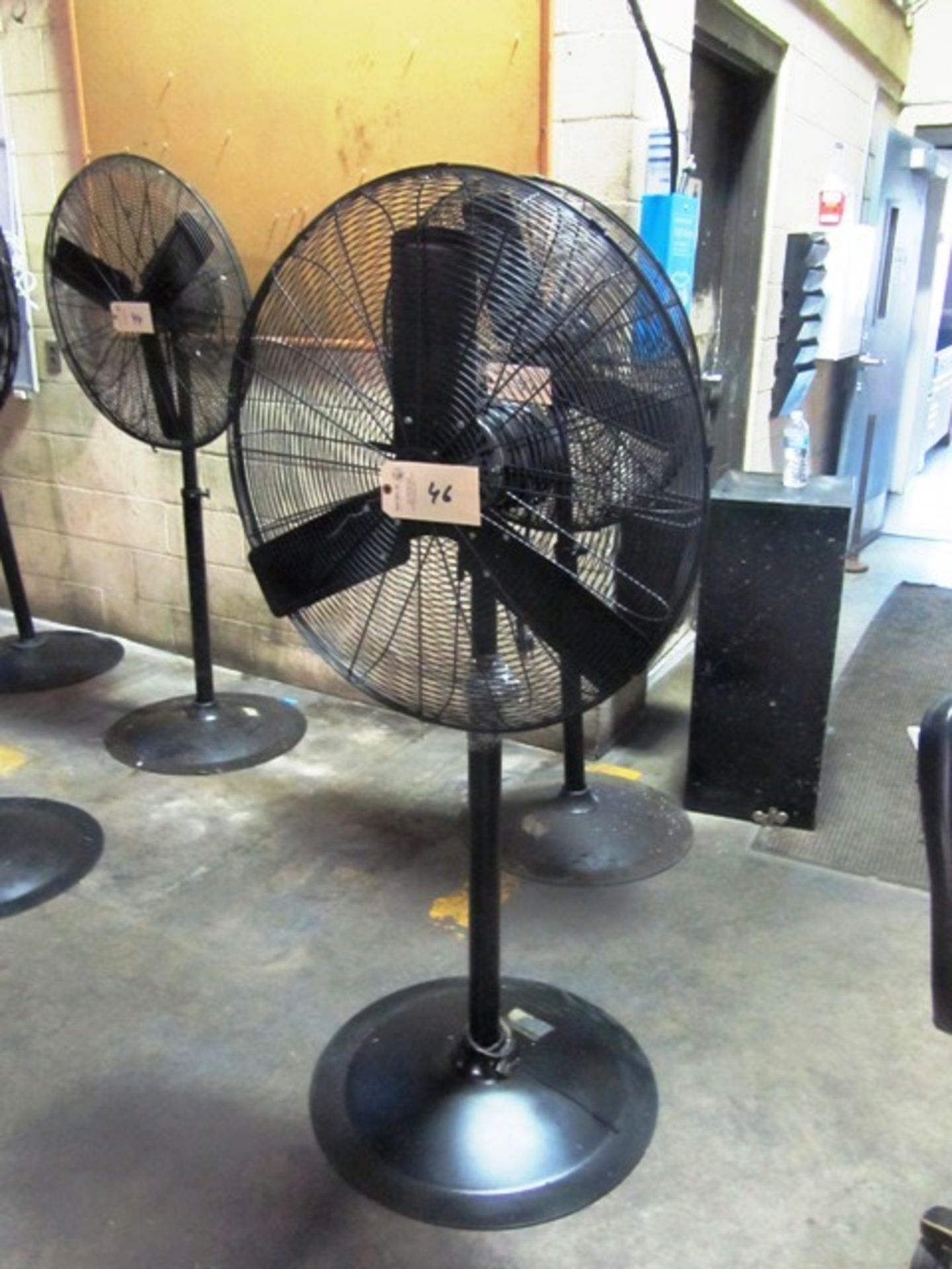 Pedestal Fan