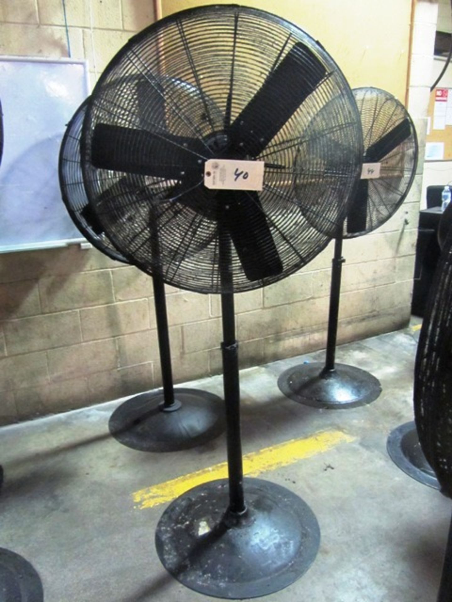 Pedestal Fan