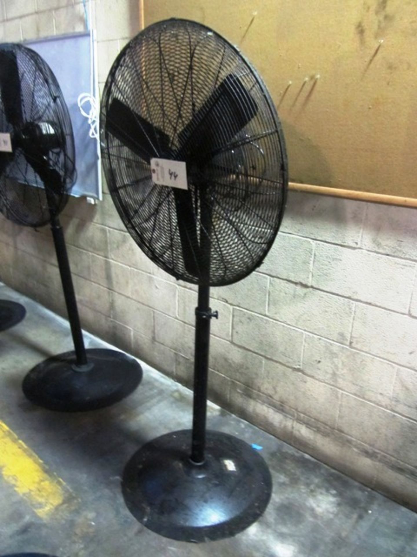 Pedestal Fan