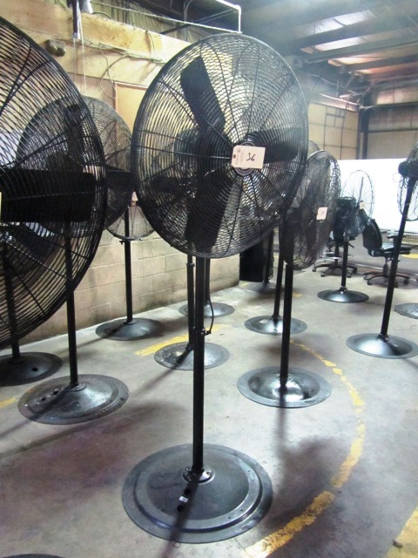 Pedestal Fan