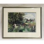 A framed watercolour by artist Donald De Groot. Overall size 53cm x 66cm