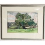 A framed watercolour entitled "Somerton Moor" by artist Donald De Groot. Overall size 53cm x 65cm