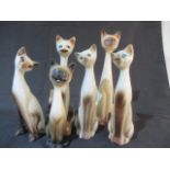 A collection of china cats.