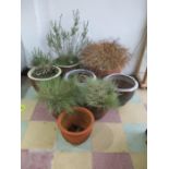 A collection of eight various garden pots