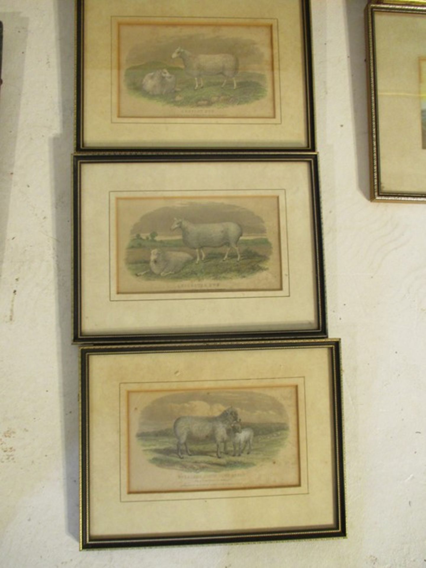 A collection of framed watercolours, prints etc, including a watercolour of cottages by G.Miller & a - Image 8 of 10