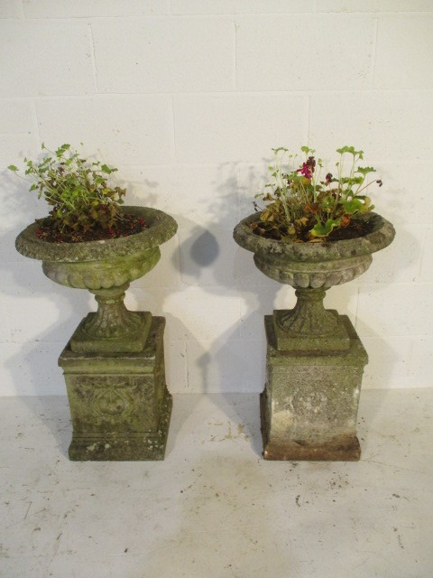 A pair of concrete garden urns on plinths