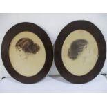 A pair of Edwardian oval watercolours of ladies in relief with indistinct signatures. Overall height