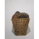 A wicker basket and collection of pine cones