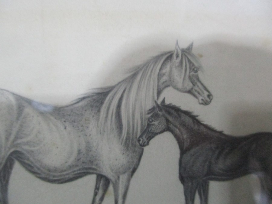 Three small framed pencil drawings including a drawing of two horses, street scene etc, all - Image 4 of 9