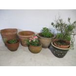 A collection of seven various sized terracotta garden pots