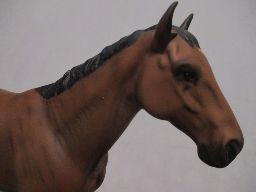 A Beswick Connoisseur figurine, Nijinsky, 1970 Winner of the Triple Crown, supported on an oval - Image 4 of 5