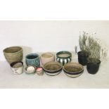 A collection of various ceramic garden pots