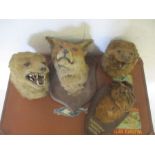 Four taxidermy heads (A/F), two Foxes, one Otter and one Rabbit, plus a vintage suitcase. Rabbit is