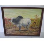 A large oil painting of an African bull signed R Herbert, 100cm x 130cm