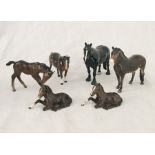 A collection of Beswick horses and ponies, including Exmoor, Dale, two foals (915) etc.