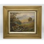 "Mountain Stream nr Ellers. Borrowdale" Oil on canvas attributed to W Pinkney. 33 x 38cm