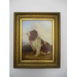 A framed oil painting on board entitled on reverse with No 2 "Portrait of Family Spaniel" by John