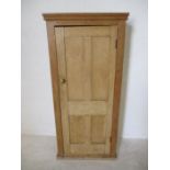 A pine panelled cupboard with single door