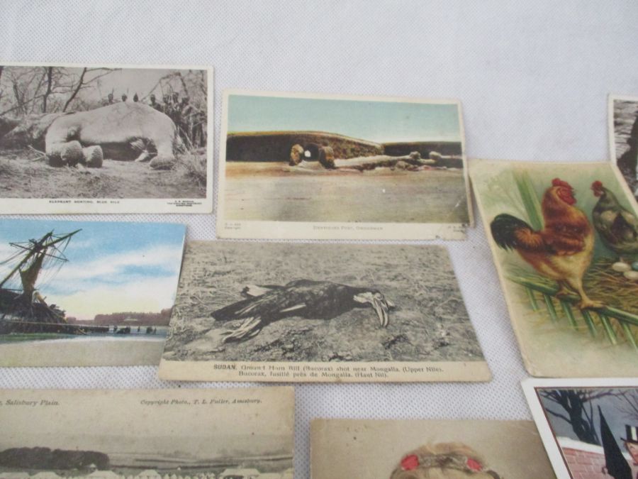 A collection of photographs, postcards etc including various postcards from Lyme Regis/Uplyme etc. - Image 46 of 52