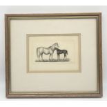 A small framed pencil drawing of two horses signed and dated 1843